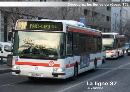 Couverture – La ligne 37 : la Vaudaise